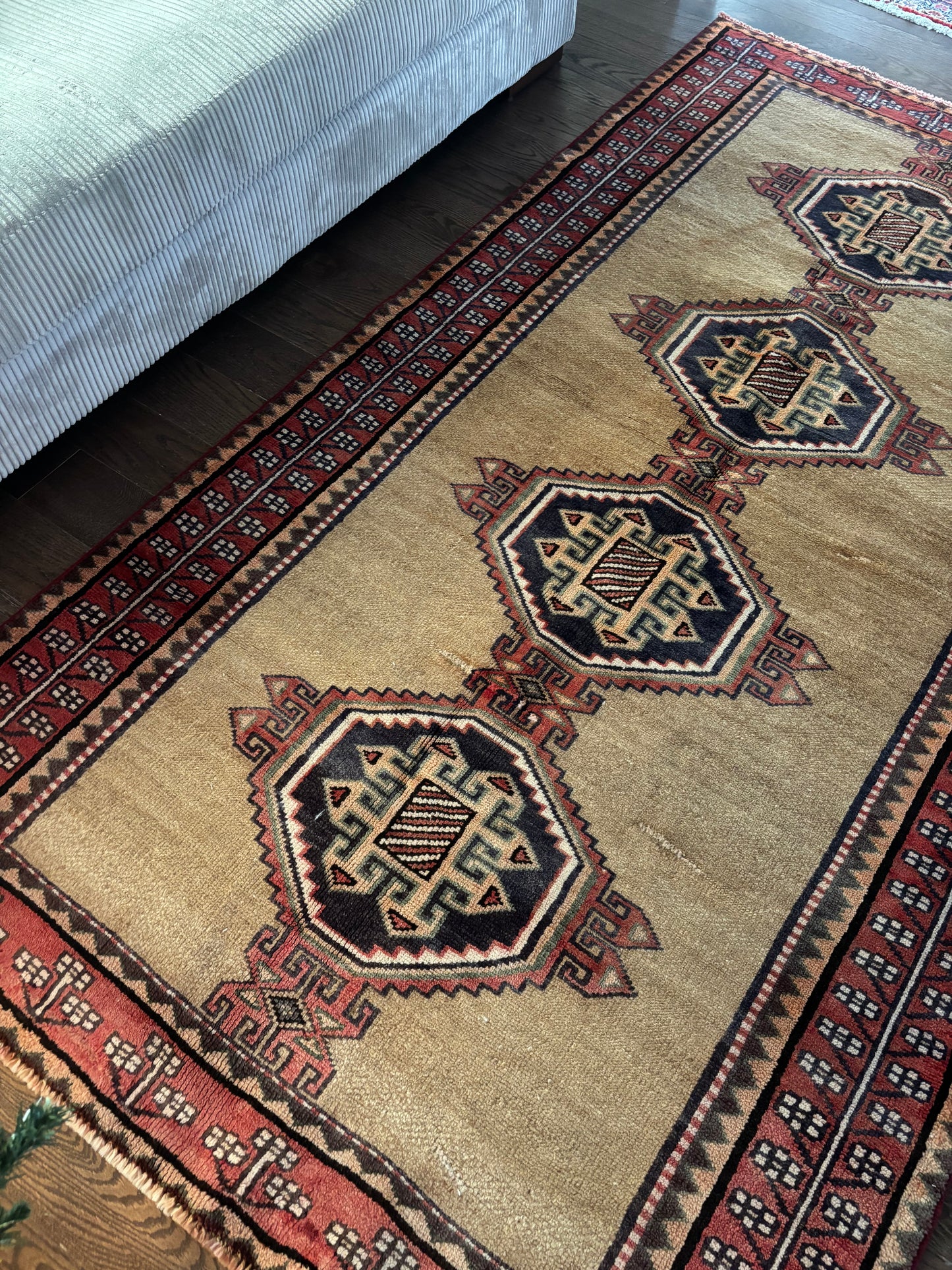 Shiraz Tribal rug Minimal